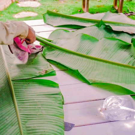 Homestay Vuon Trai Cay Nhiet Doi Vo Uu Garden Bảo Lộc Extérieur photo