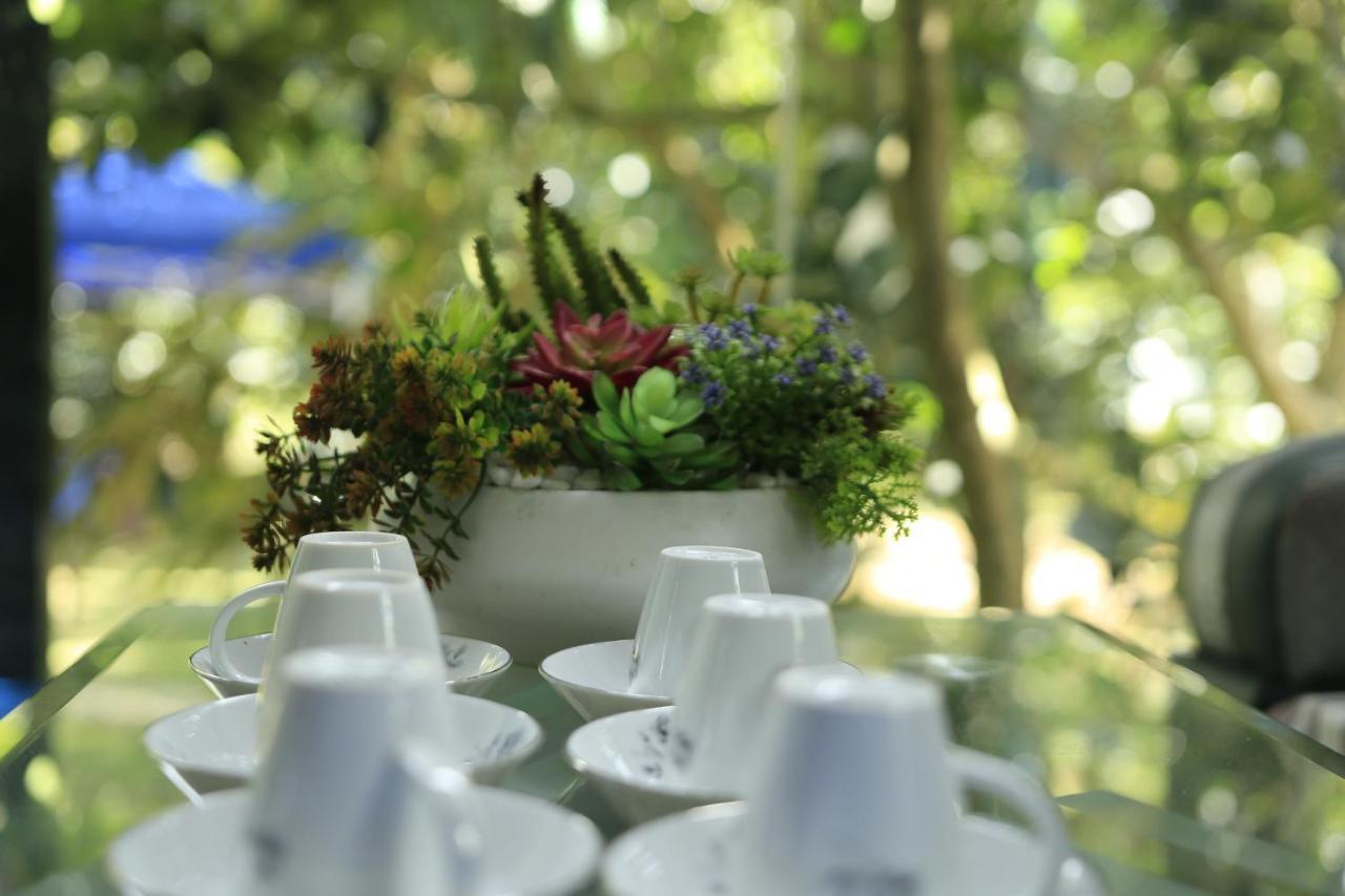 Homestay Vuon Trai Cay Nhiet Doi Vo Uu Garden Bảo Lộc Extérieur photo