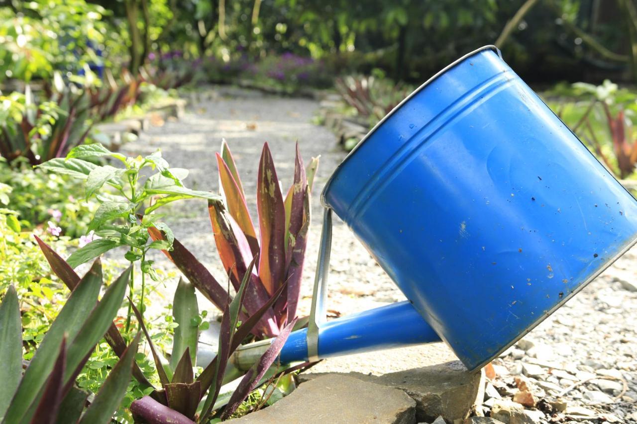 Homestay Vuon Trai Cay Nhiet Doi Vo Uu Garden Bảo Lộc Extérieur photo