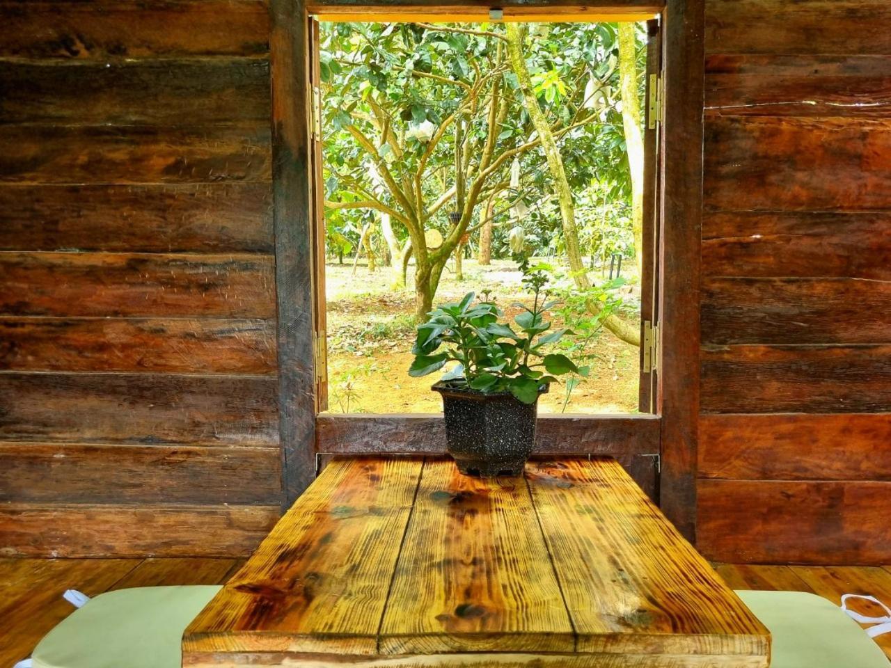 Homestay Vuon Trai Cay Nhiet Doi Vo Uu Garden Bảo Lộc Extérieur photo