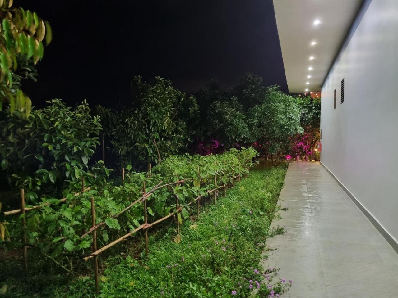 Homestay Vuon Trai Cay Nhiet Doi Vo Uu Garden Bảo Lộc Extérieur photo