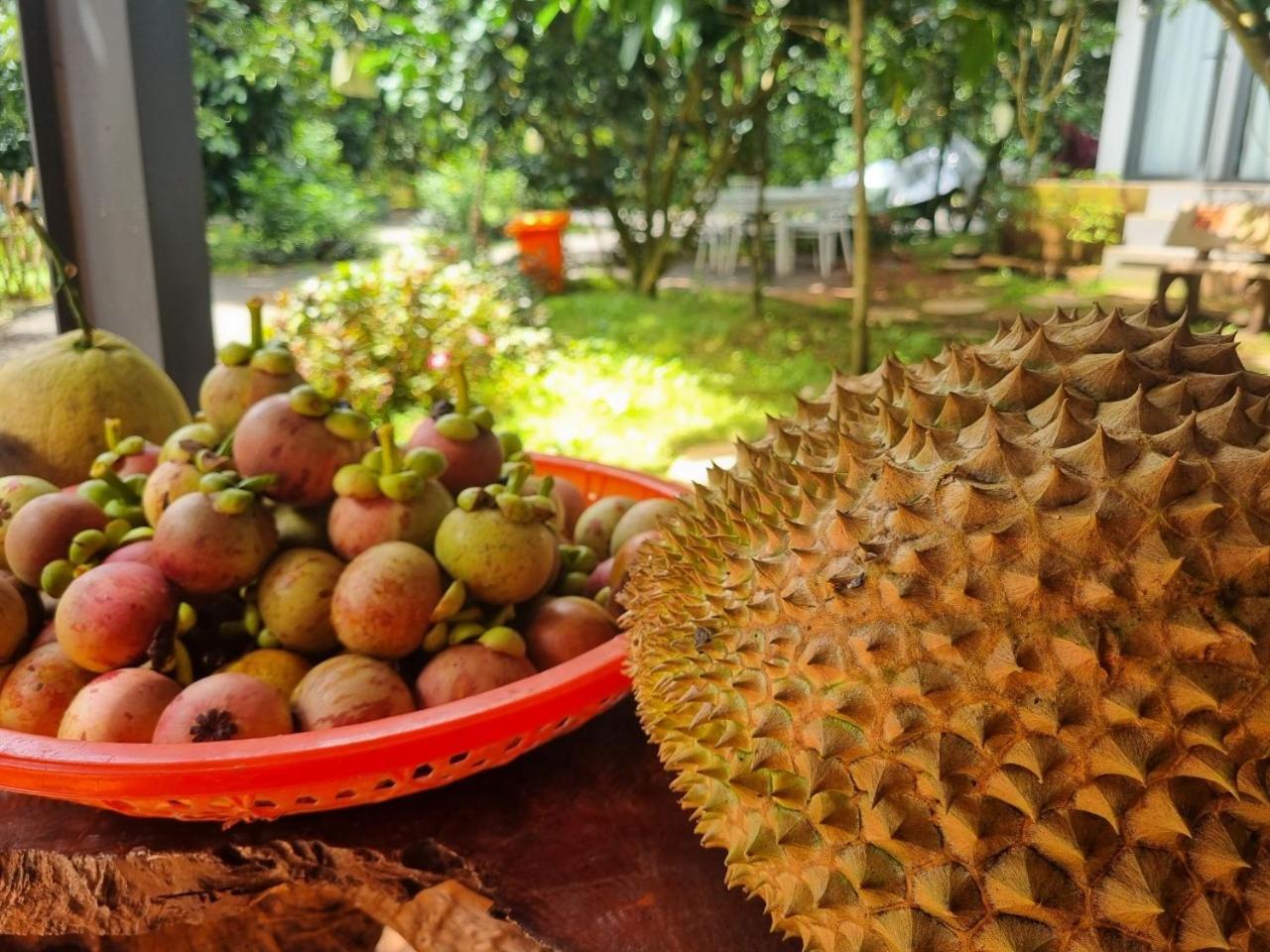 Homestay Vuon Trai Cay Nhiet Doi Vo Uu Garden Bảo Lộc Extérieur photo