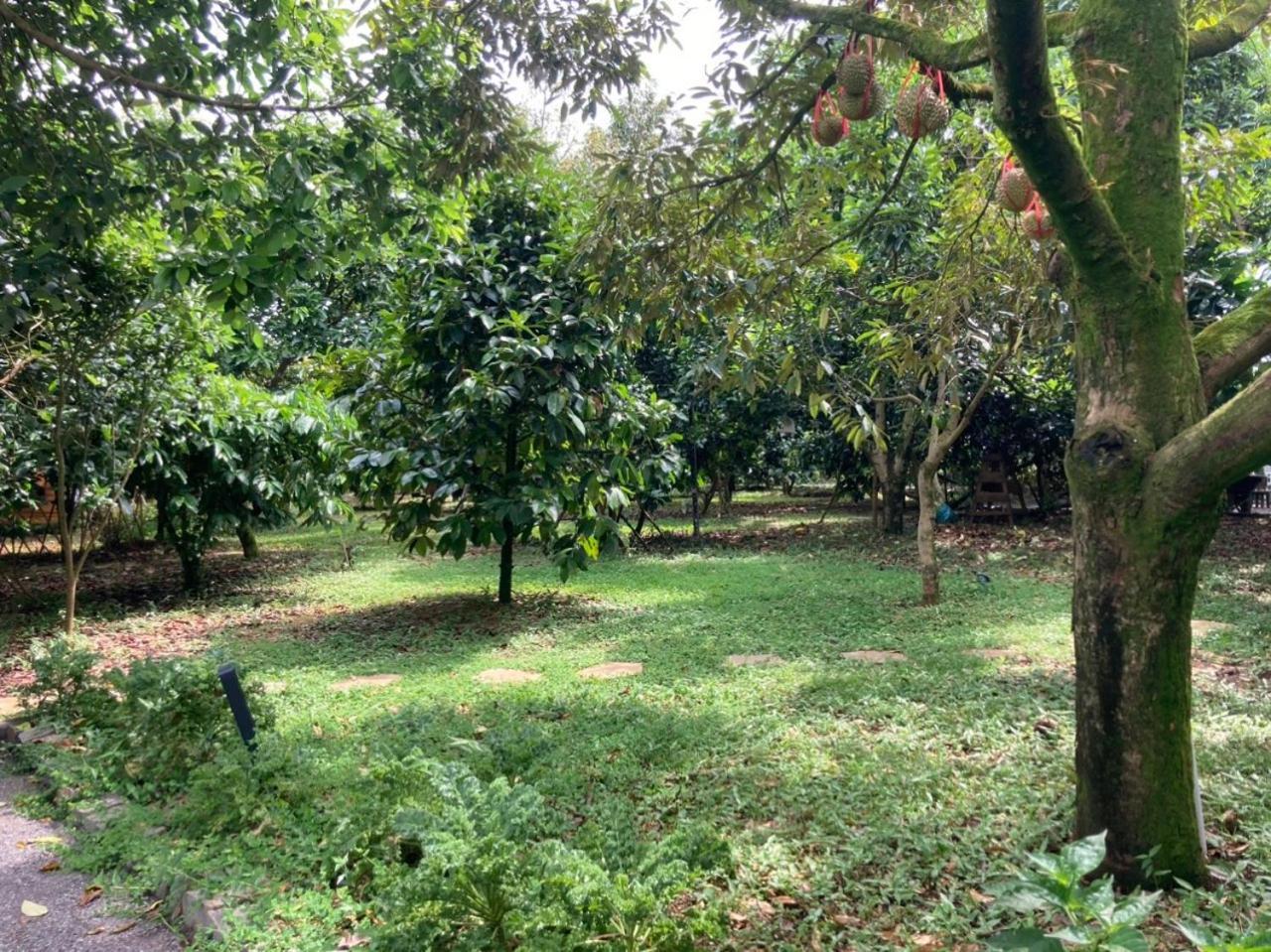 Homestay Vuon Trai Cay Nhiet Doi Vo Uu Garden Bảo Lộc Extérieur photo