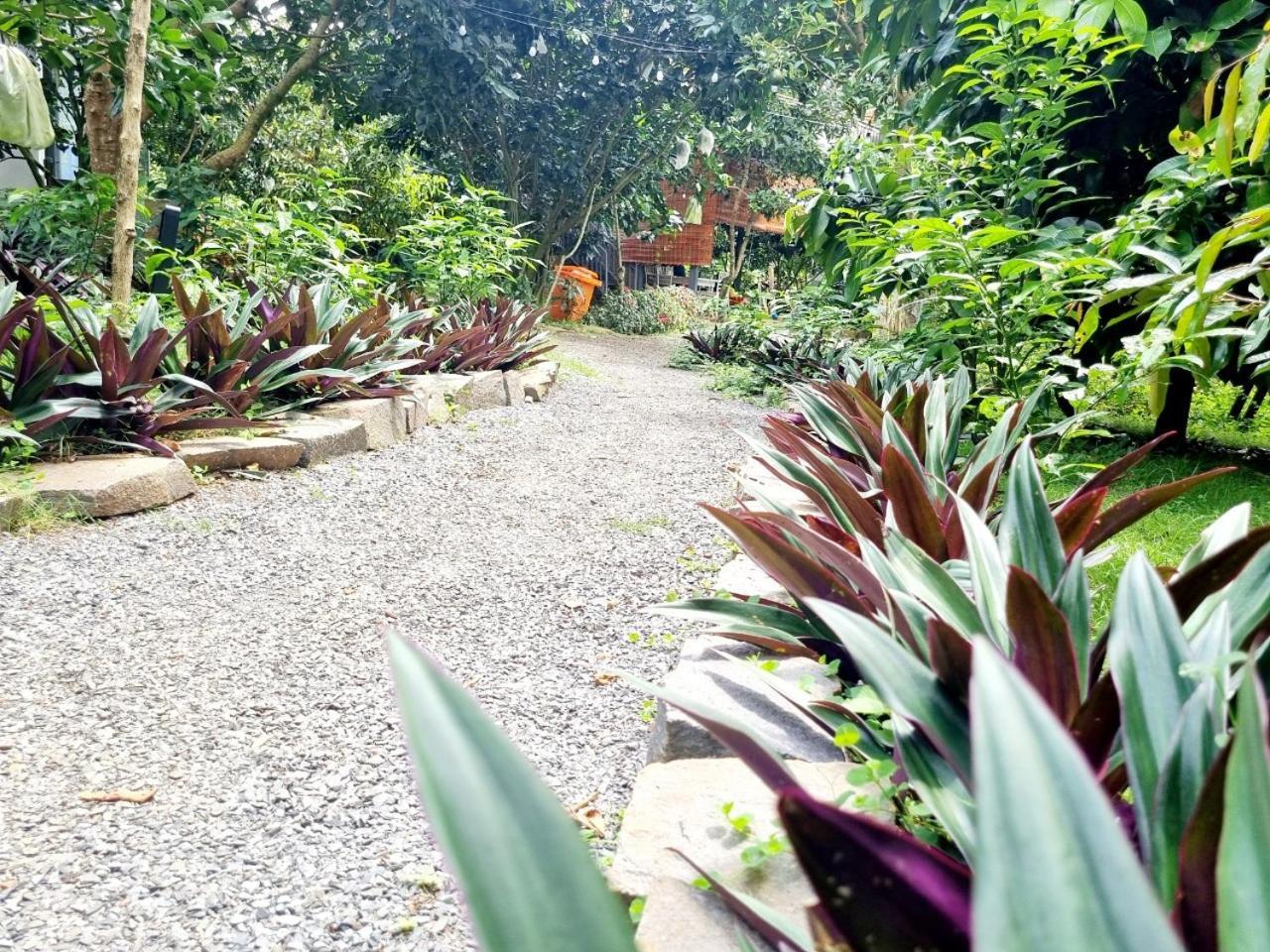 Homestay Vuon Trai Cay Nhiet Doi Vo Uu Garden Bảo Lộc Extérieur photo