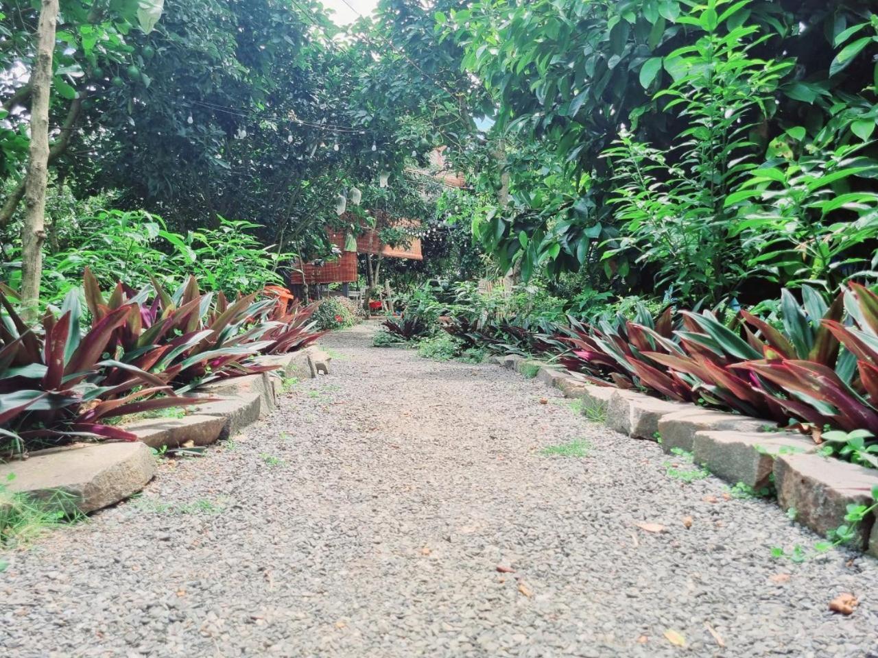 Homestay Vuon Trai Cay Nhiet Doi Vo Uu Garden Bảo Lộc Extérieur photo